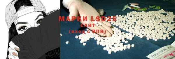 PSILOCYBIN Баксан