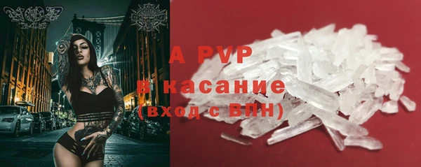 PSILOCYBIN Баксан