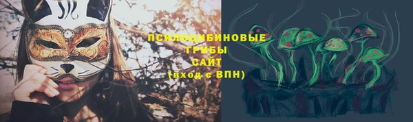 PSILOCYBIN Баксан