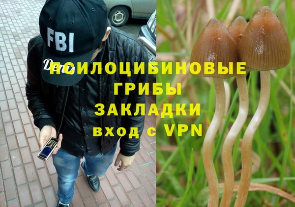 PSILOCYBIN Баксан