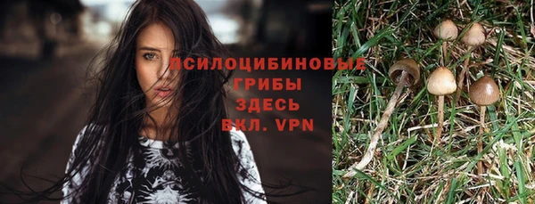 PSILOCYBIN Баксан