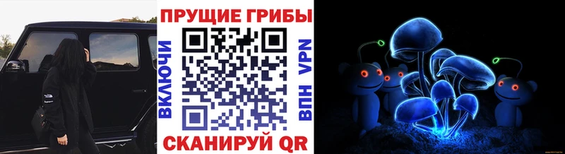 сайты даркнета какой сайт  блэк спрут зеркало  Бобров  где найти наркотики  Псилоцибиновые грибы ЛСД 